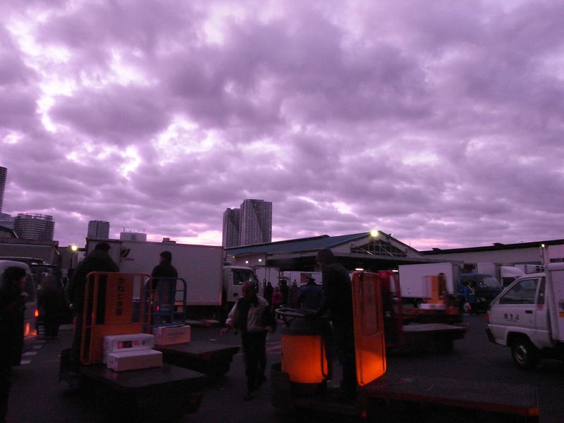 20110104_2670から2671へ_RIMG0236 20110104_2670から2671へ_RIMG0236