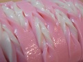 20120103_謹賀新年_RIMG6539s
